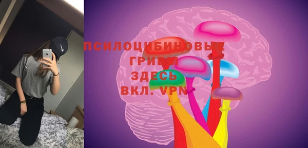 mdpv Лихославль