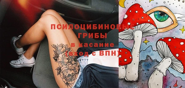 гашик Лиски