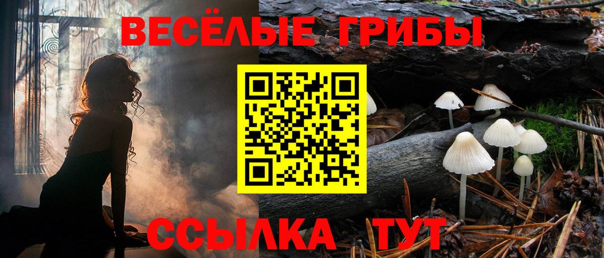 Псилоцибиновые грибы MAGIC MUSHROOMS Отрадное