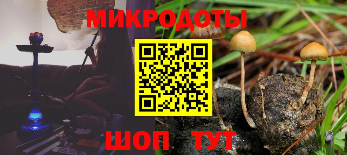 Отрадное  Галлюциногенные грибы MAGIC MUSHROOMS  Вход с VPN 