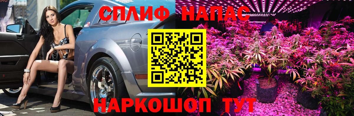 Бошки марихуана конопля  МАРИХУАНА сатива  Бошки Шишки семена  Отрадное  МАРИХУАНА AK-47  Вход с VPN 